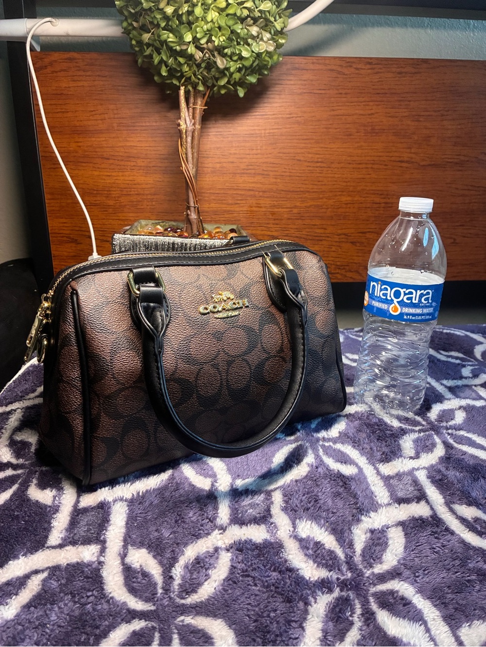 Coach Brown Signature Dome Satchel